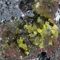 Sewardite