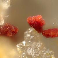 Mawbyite