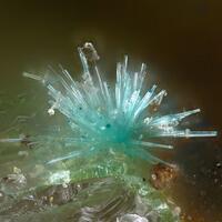 e-Rocks Mineral Auctions