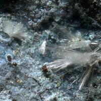 Köttigite