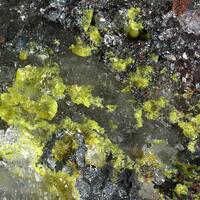 Zincgartrellite