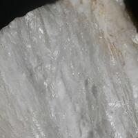 Ameghinite