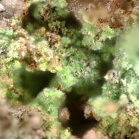 Creaseyite
