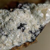 Matulaite