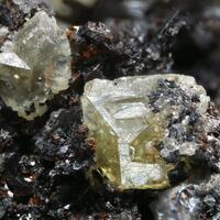 Wardite