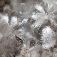 Oyelite