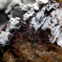 Shannonite