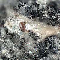 Harkerite