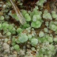 Cuprosklodowskite