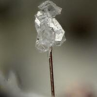 Phillipsite Chabazite Pyroxene Group