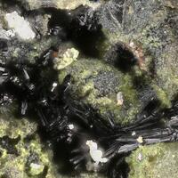 Vanarsite