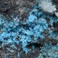 Niedermayrite