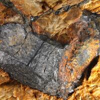 Thucholite Psm Uraninite