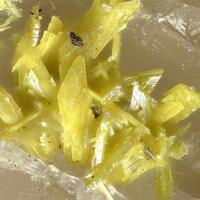 Parsonsite