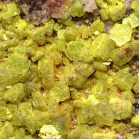 Autunite