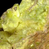 Sabugalite On Autunite