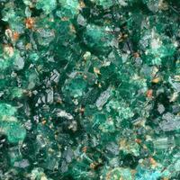 Paratacamite-(Mg)