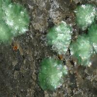 Fulbrightite