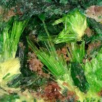Cuprosklodowskite & Uranophane