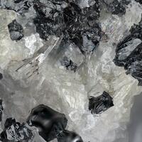 Molybdophyllite