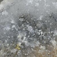 Hammarite