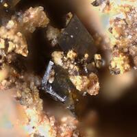 Iranite
