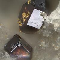 Pucherite