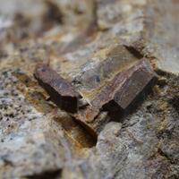 Monazite-(Ce)