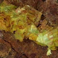 Uranocircite