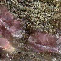 Thérèsemagnanite