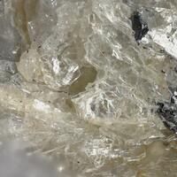 Molybdophyllite