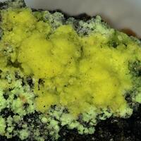 Bayleyite