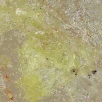 Thorneite