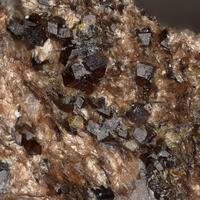 Goldmanite