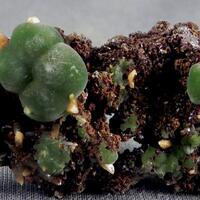 Mimetite