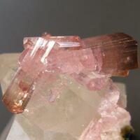 Elbaite On Quartz