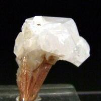 Apophyllite On Inesite