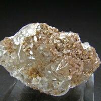 Bustamite In Quartz