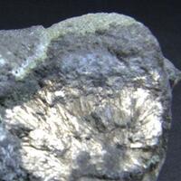 Pecoraite On Millerite