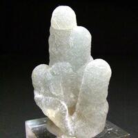 Prehnite