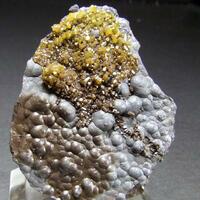 Pyromorphite On Coronadite