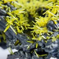 Pyromorphite On Coronadite