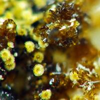 Childrenite Cacoxenite & Strengite