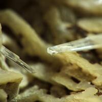 Aragonite On Calcite