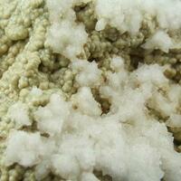 Calcite On Carbonate-rich Fluorapatite