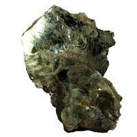 Muscovite