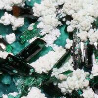 Atacamite With Halloysite & Libethenite