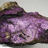 Purpurite