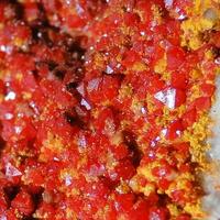 Chromian Wulfenite