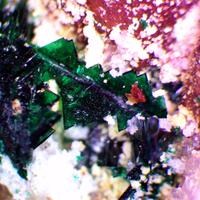 Anatacamite & Paratacamite